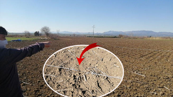 Yüksek gerilim hattını taşla kesmek isterken akıma kapıldılar