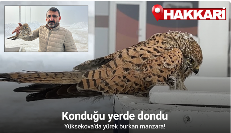 Yüksekova’da yürek burkan manzara: Konduğu yerde dondu