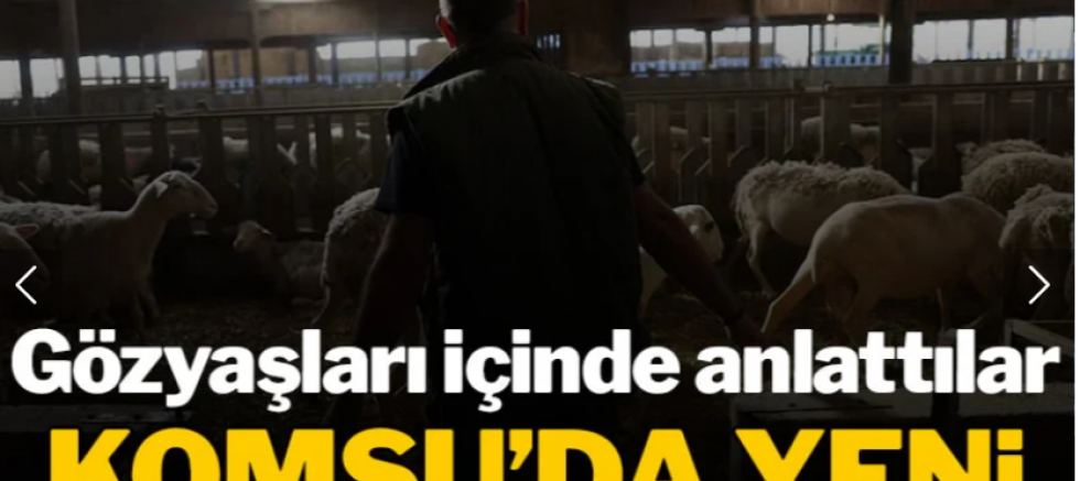 Yunanistan’da yeni salgın! Çiftçiler perişan, sürüler itlaf ediliyor