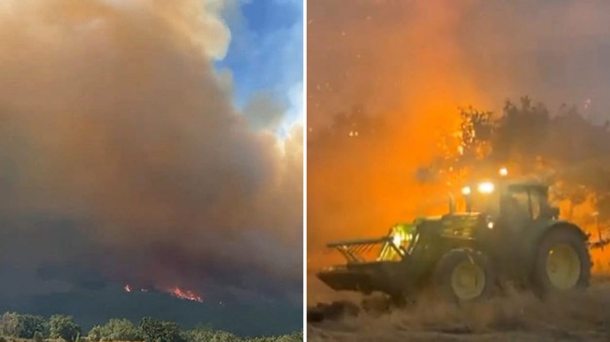 Yunanistan'daki orman yangını büyümeye devam ediyor, dumanlar Edirne'den görülüyor