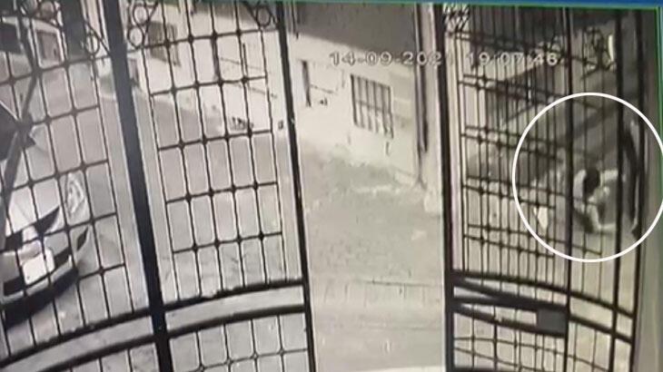 Zeytinburnu'nda kadın cinayeti