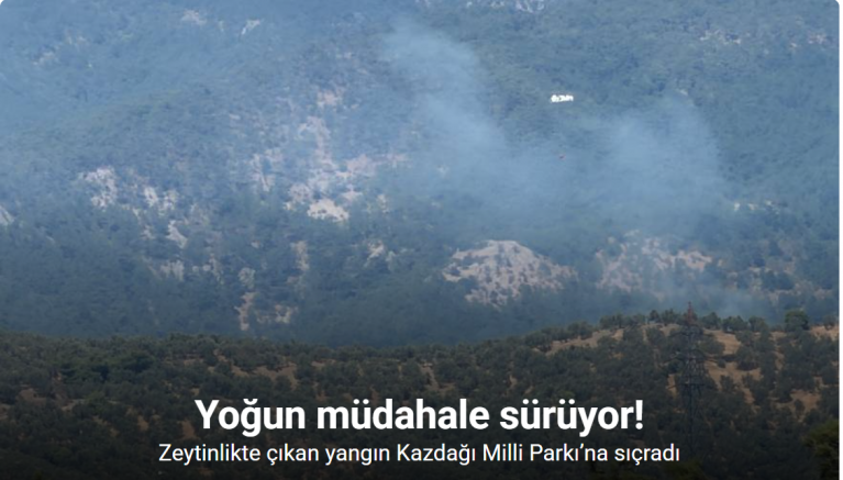 Zeytinlikte çıkan yangın Kazdağı Milli Parkı’na sıçradı