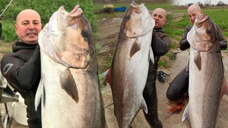 Zıpkınla yakaladı: 65 kilo, 185 santimetre